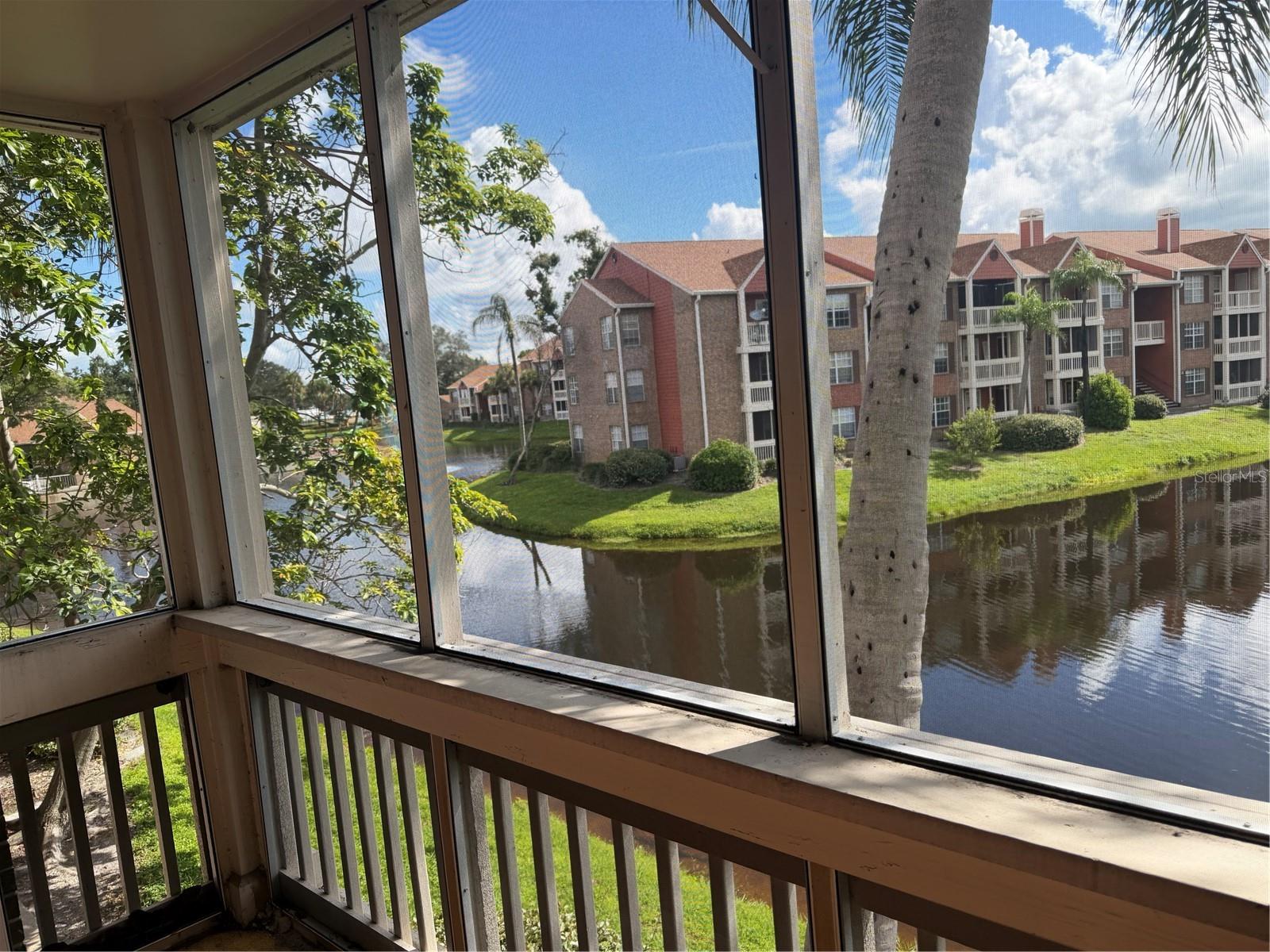 10200 GANDY BLVD N #923 — photo 23