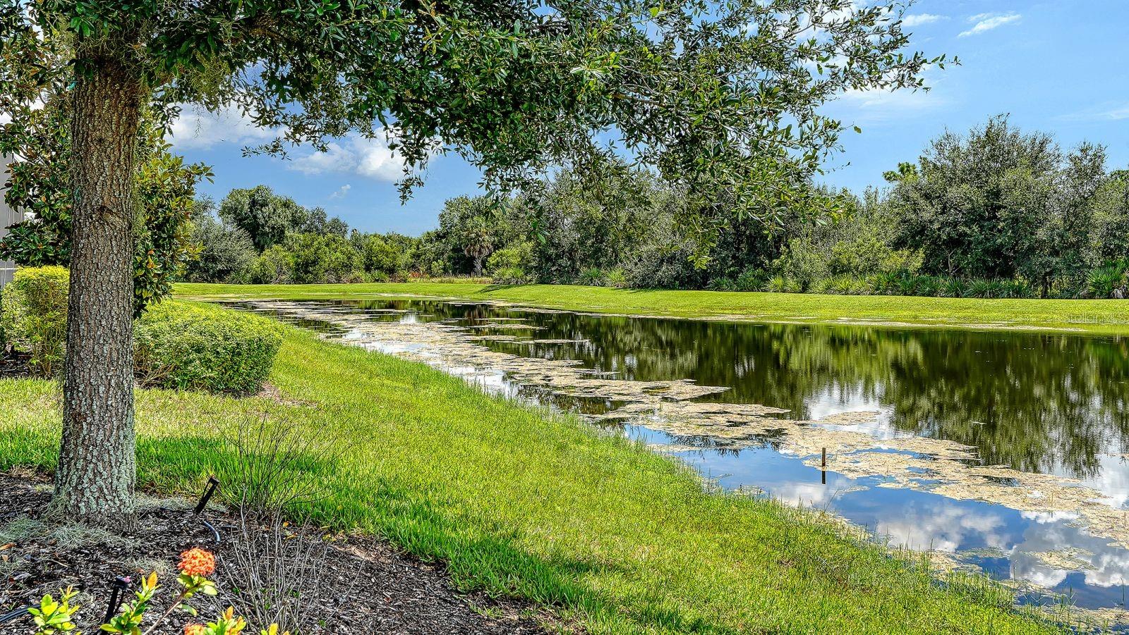 7997 GRANDE SHORES DR — photo 64