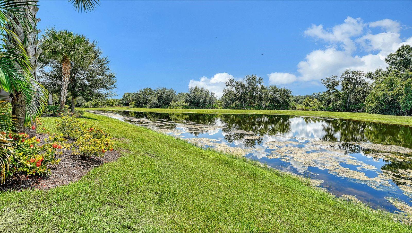 7997 GRANDE SHORES DR — photo 61