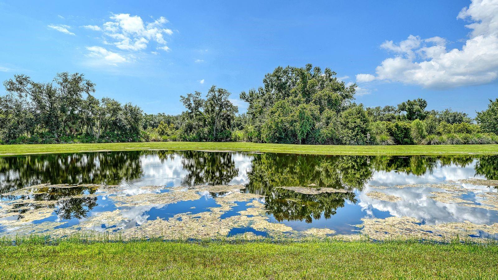 7997 GRANDE SHORES DR — photo 63
