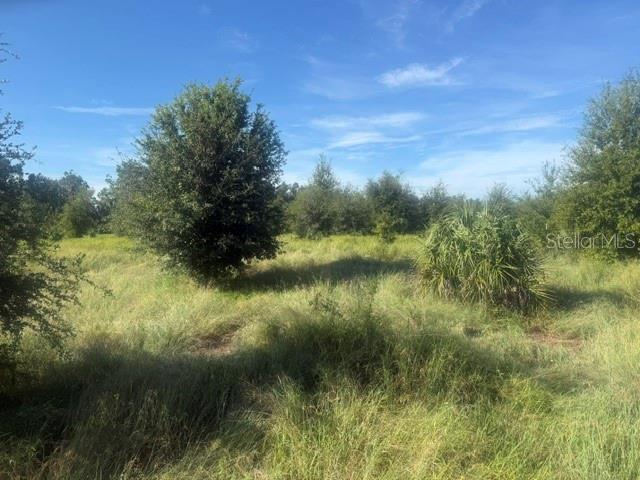 WELCOME RD #Lot 1 — photo 2