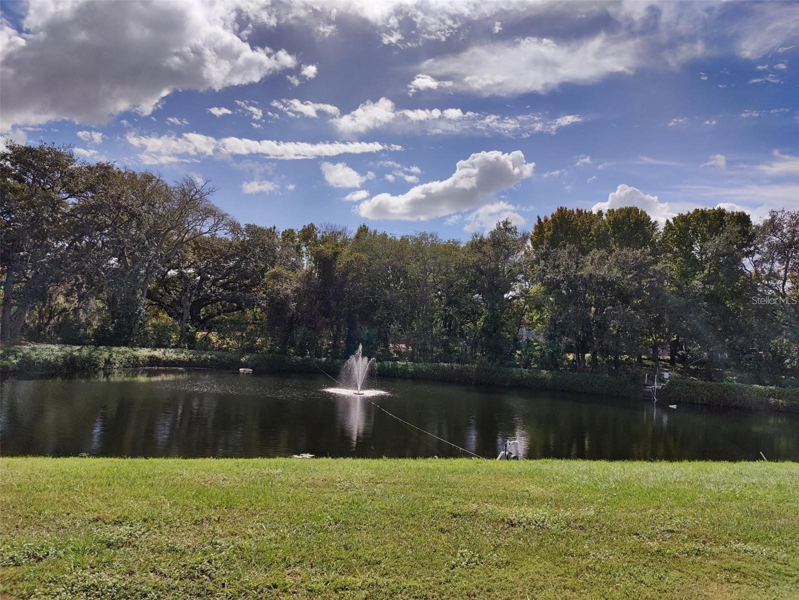 Home in CLEARWATER — photo 8