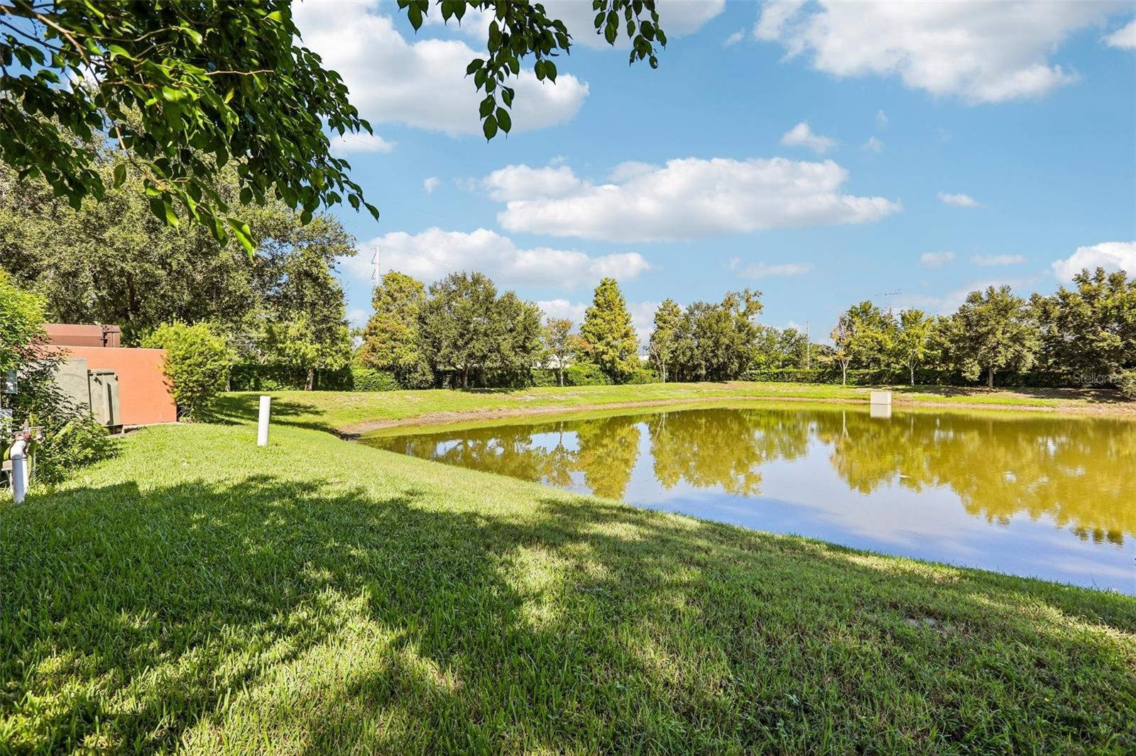 2520 COLONY REED LN — photo 22