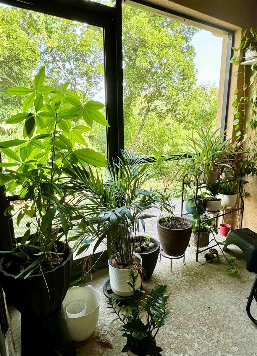 1529 WATER TERRACE LN — photo 36