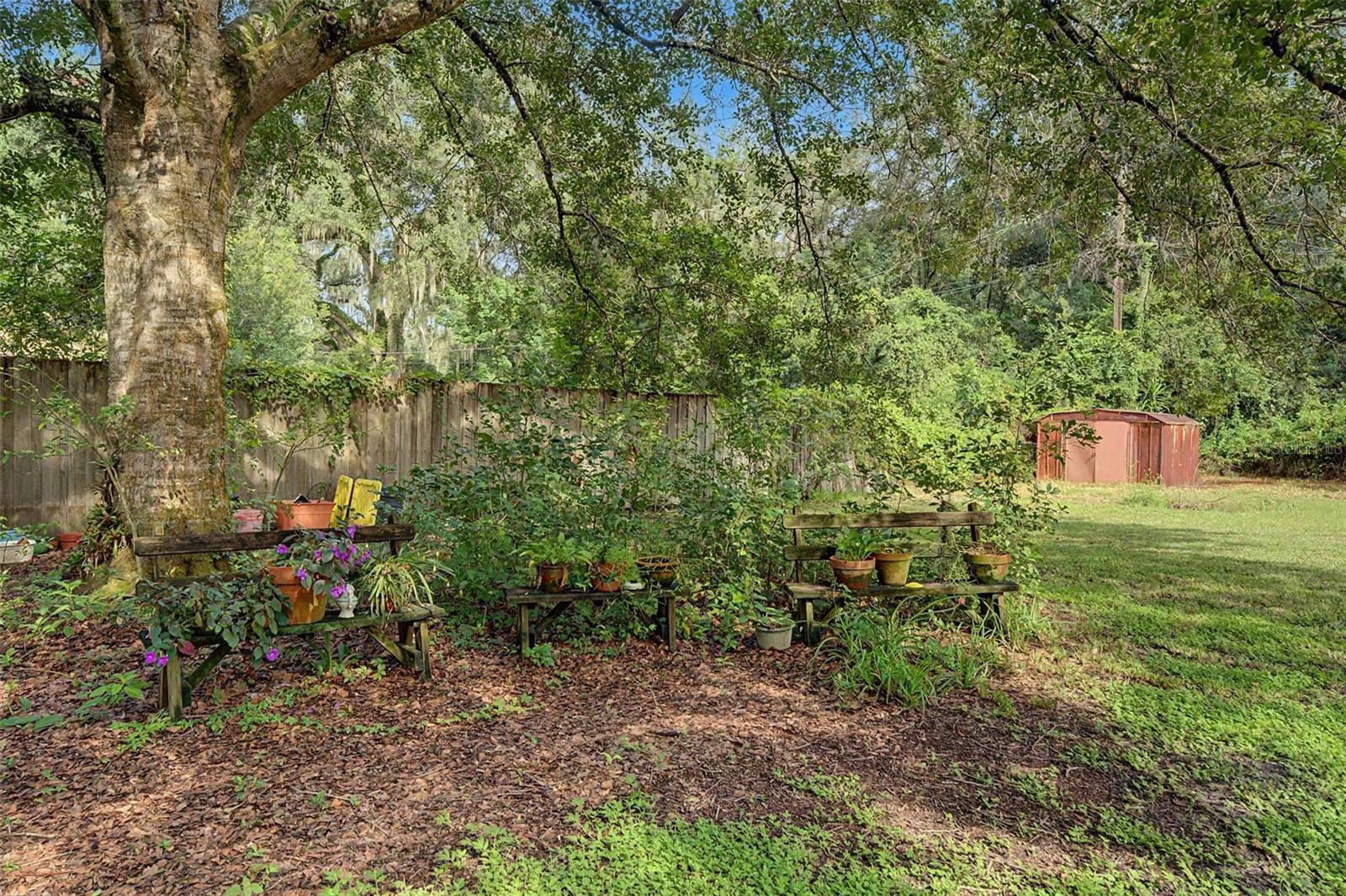 3621 OAKWOOD DR — photo 31