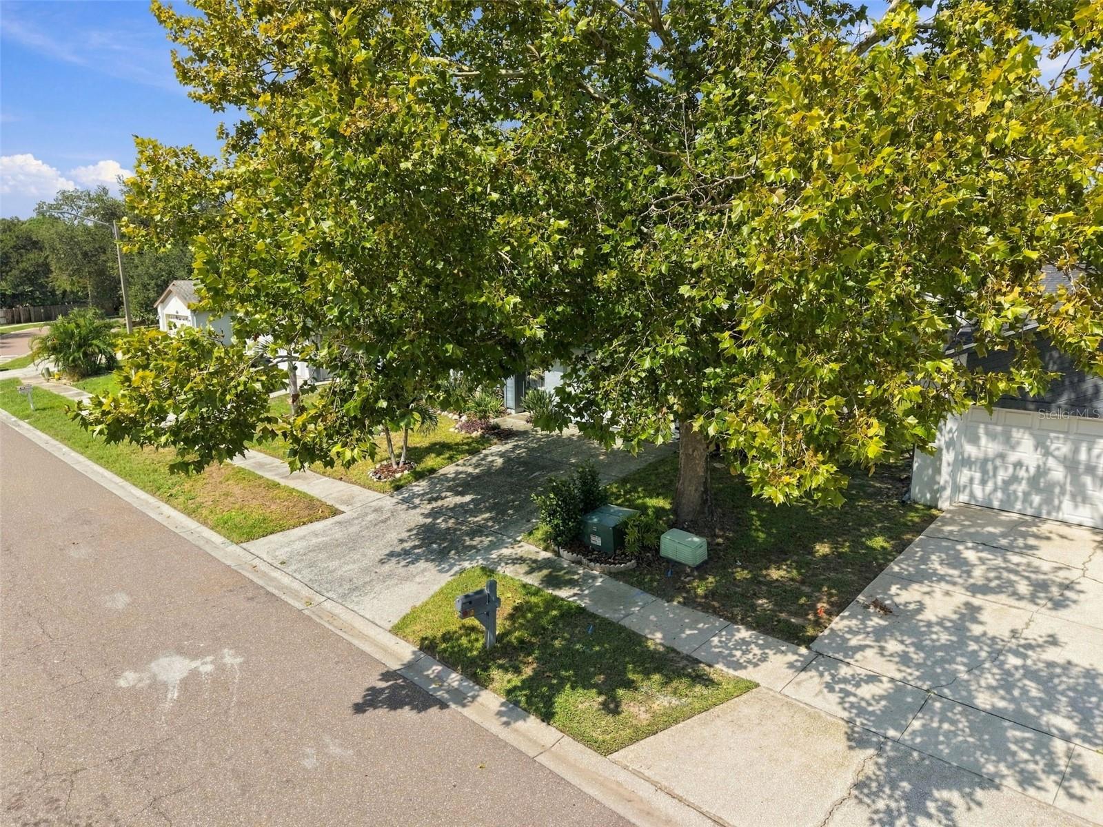 2621 ORCHARD HIGHLANDS DR — photo 39