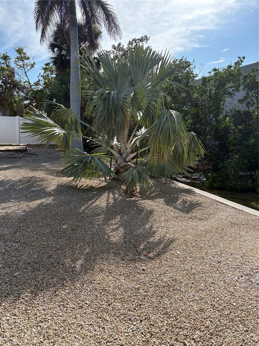 5032 CALLE MINORGA — photo 21