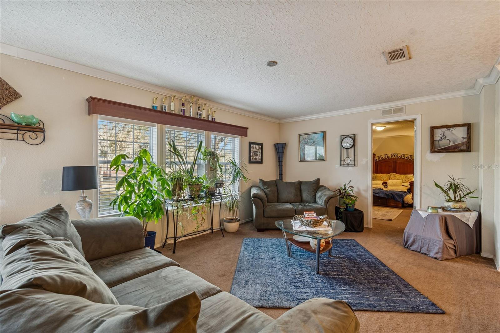 27435 HOLIDAY DR — photo 12