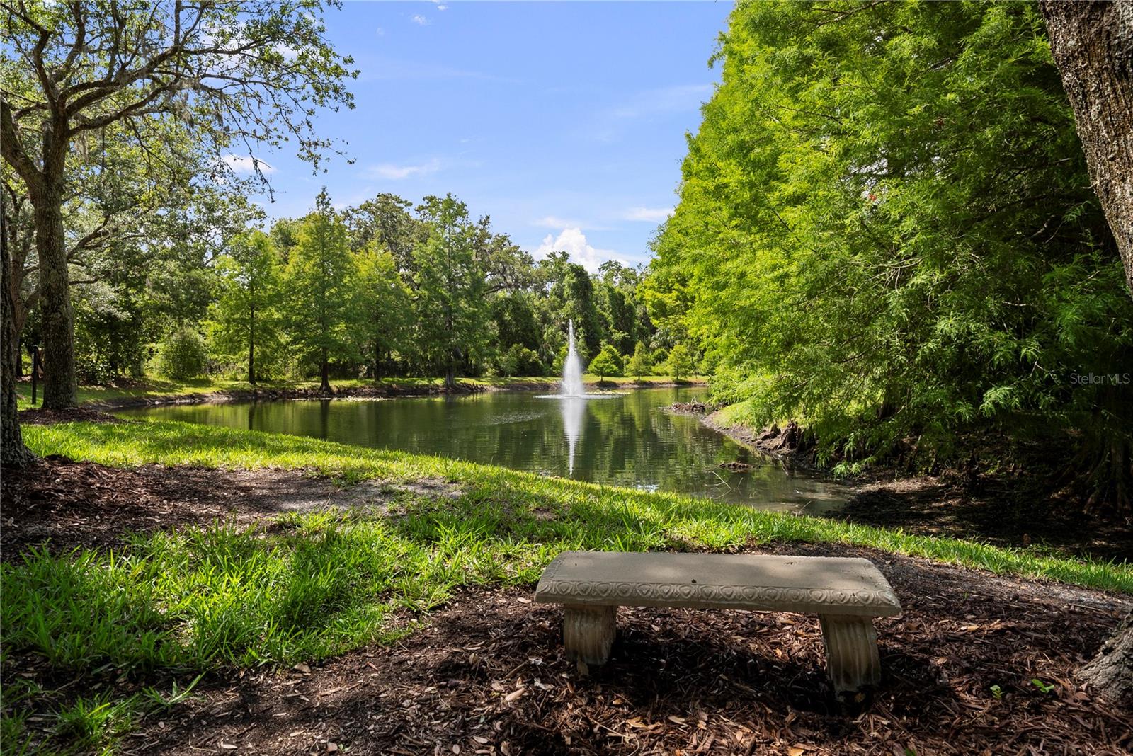 10719 ASHFORD OAKS DR — photo 47