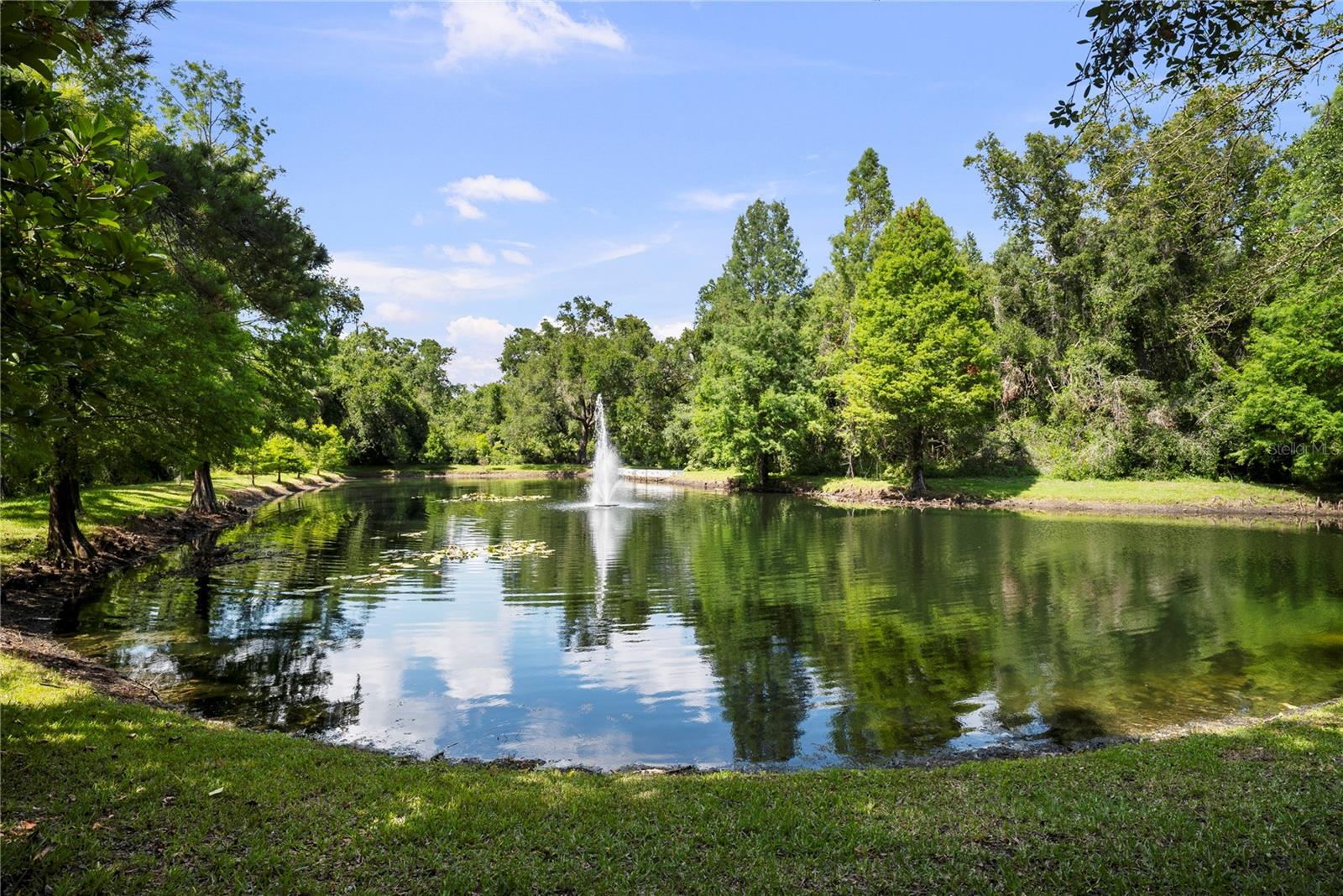 10719 ASHFORD OAKS DR — photo 49