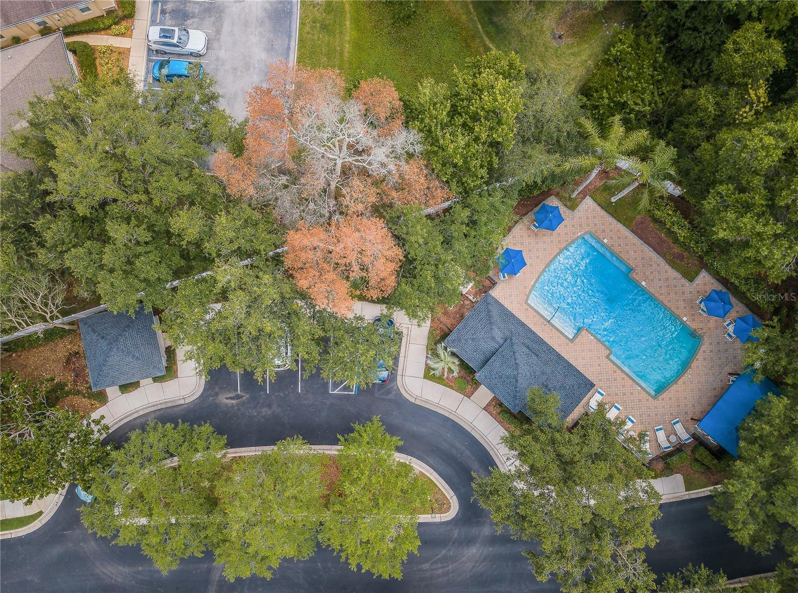 10719 ASHFORD OAKS DR — photo 55