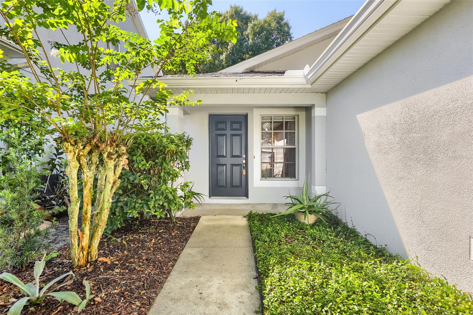 7902 CITRUS BLOSSOM DR — photo 4