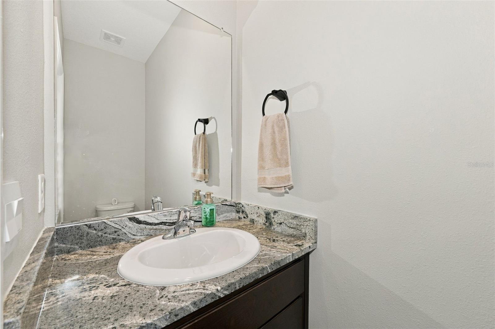 16633 MOONER PLANK CIR — photo 34