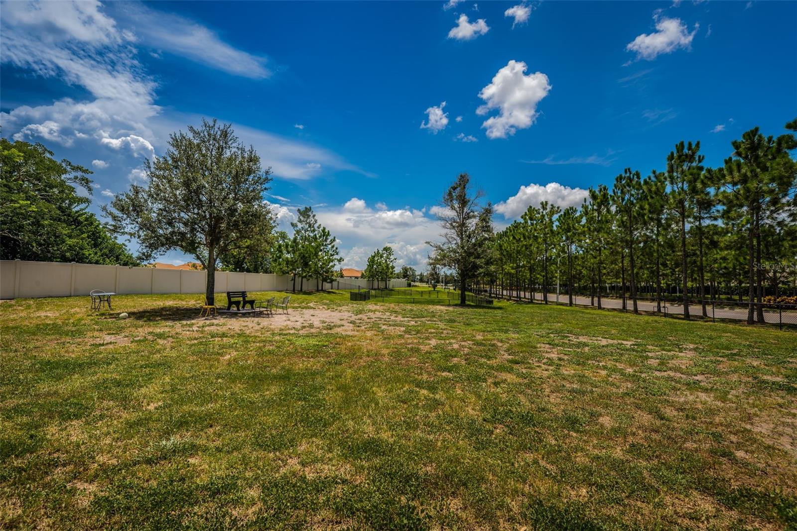 16633 MOONER PLANK CIR — photo 61