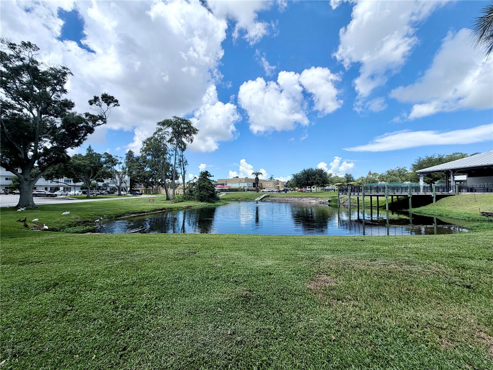 2100 WORLD PARKWAY BLVD #20 — photo 11