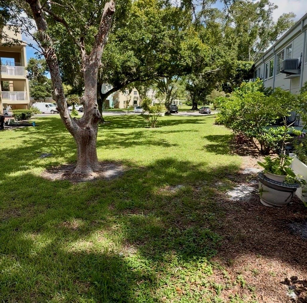 2100 WORLD PARKWAY BLVD #20 — photo 10