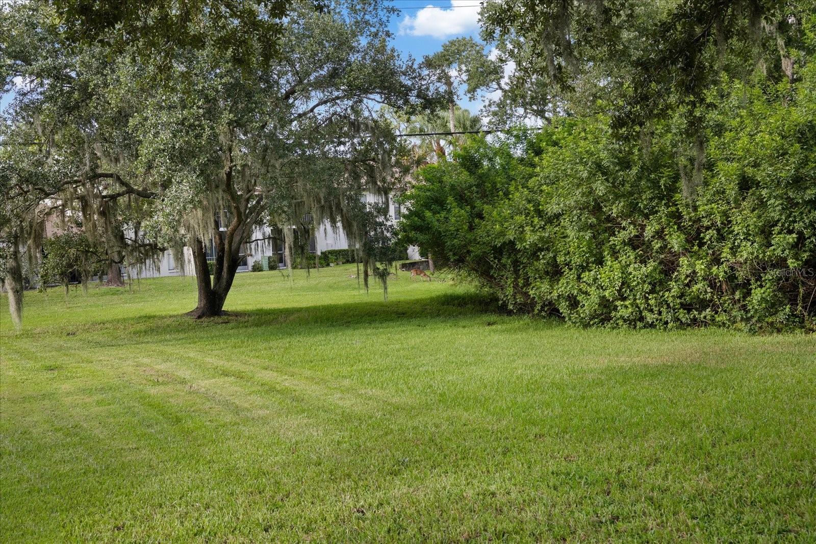1801 E LAKE RD #2D — photo 6