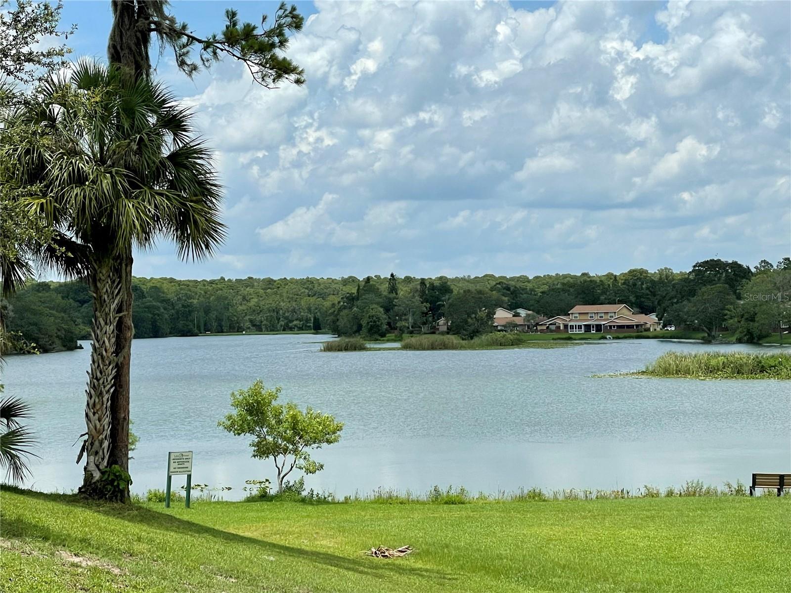 14803 LAKE FOREST DR — photo 18