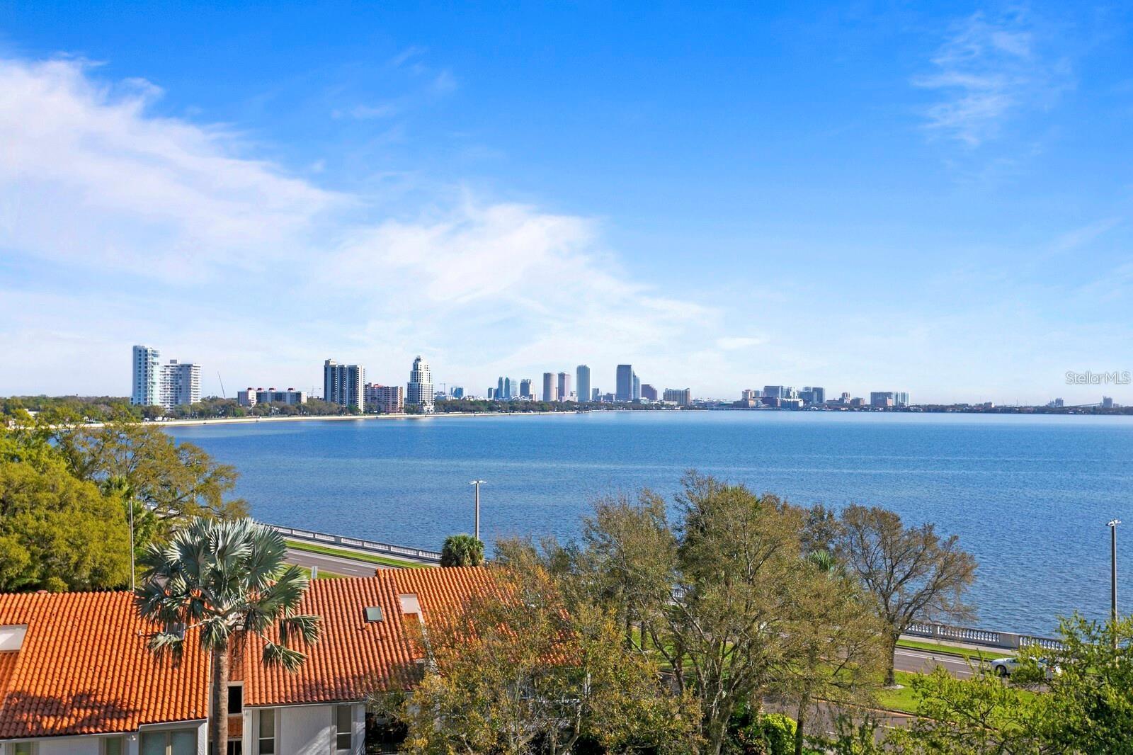 3401 BAYSHORE BLVD #503 — photo 62