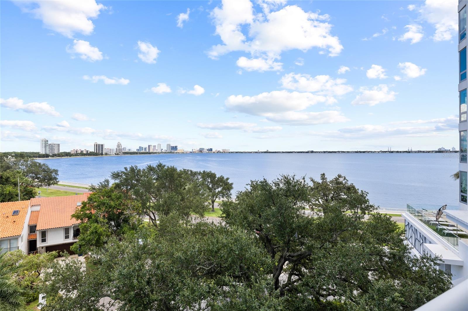 3401 BAYSHORE BLVD #503 — photo 39