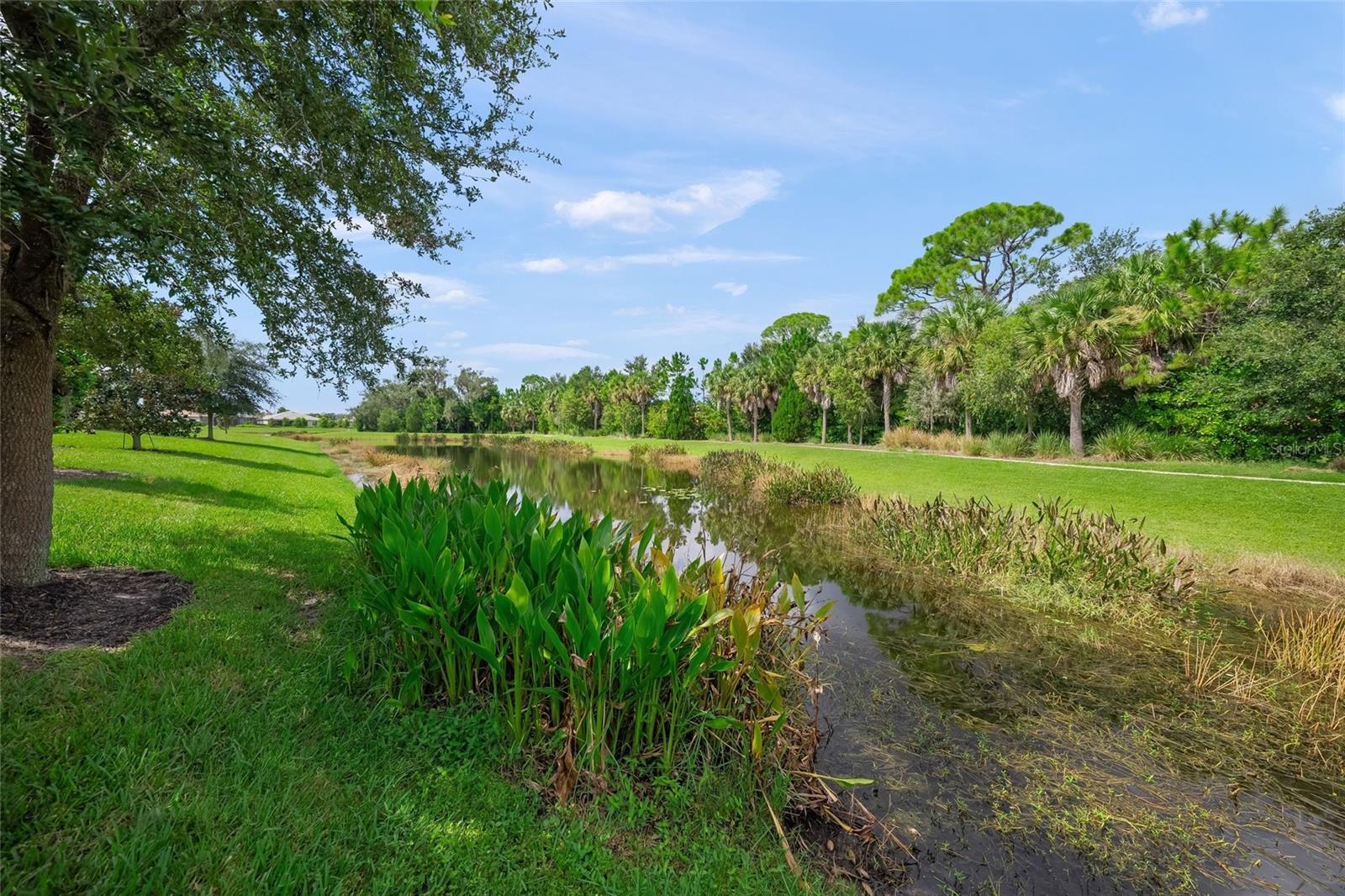 5557 LONG SHORE LOOP — photo 49