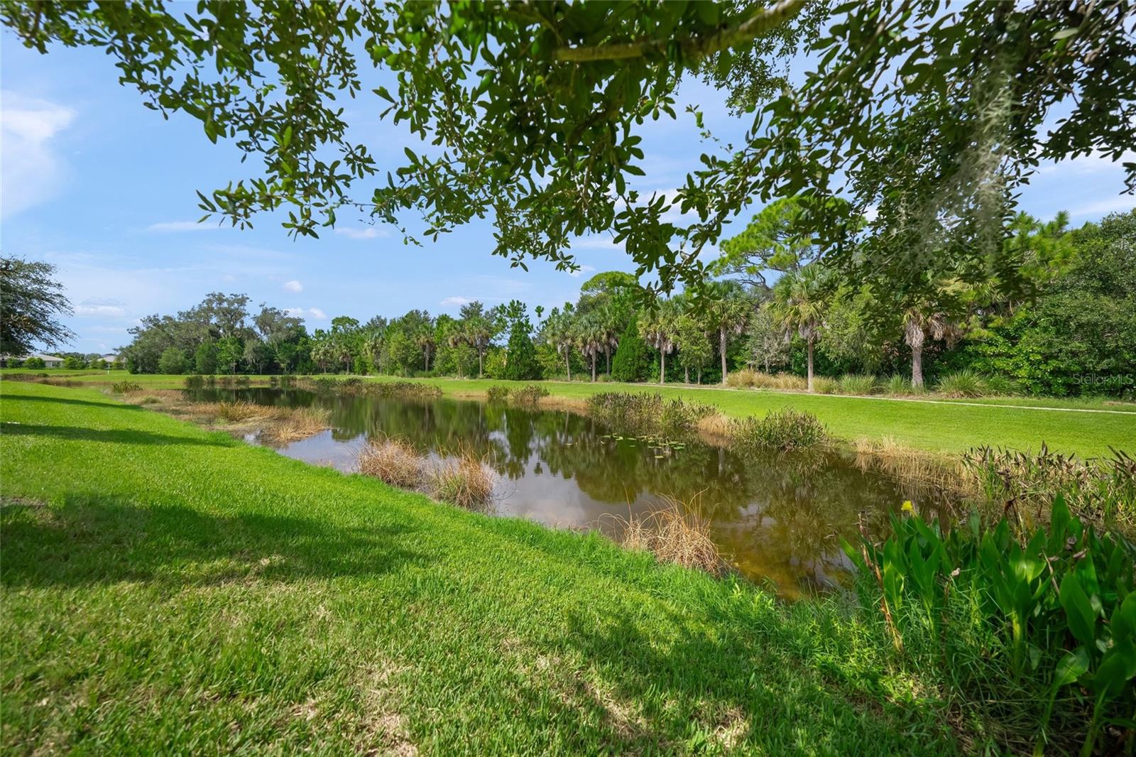 5557 LONG SHORE LOOP — photo 48