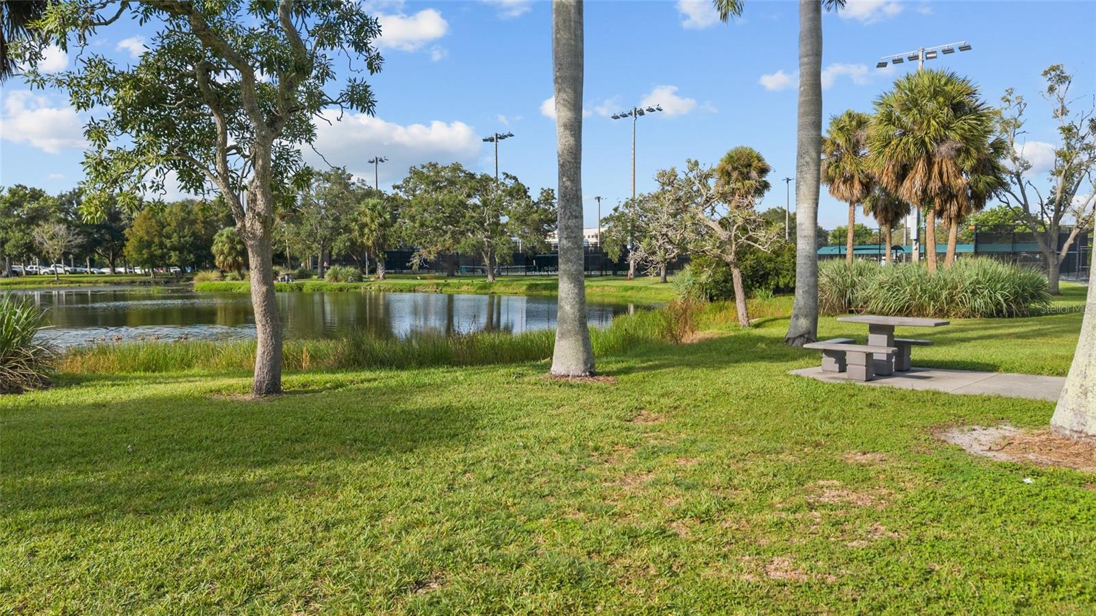 2520 E MILMAR DR — photo 42