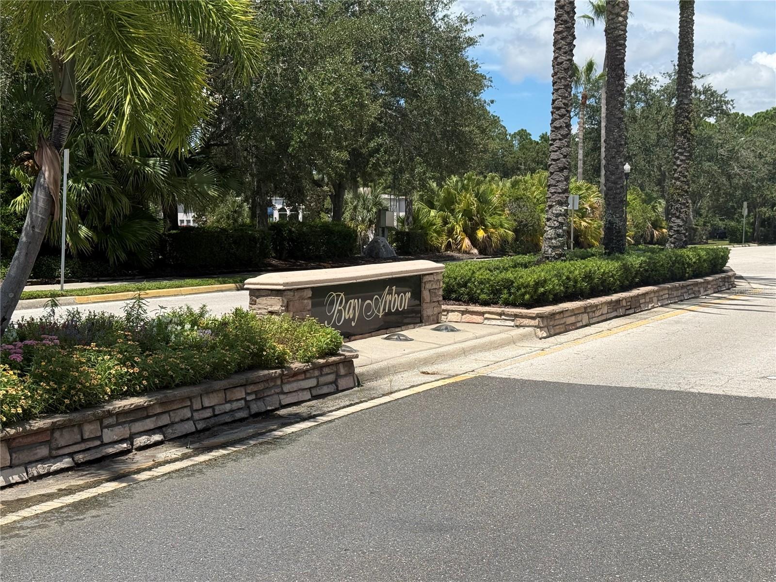 219 BAY ARBOR BLVD — photo 51