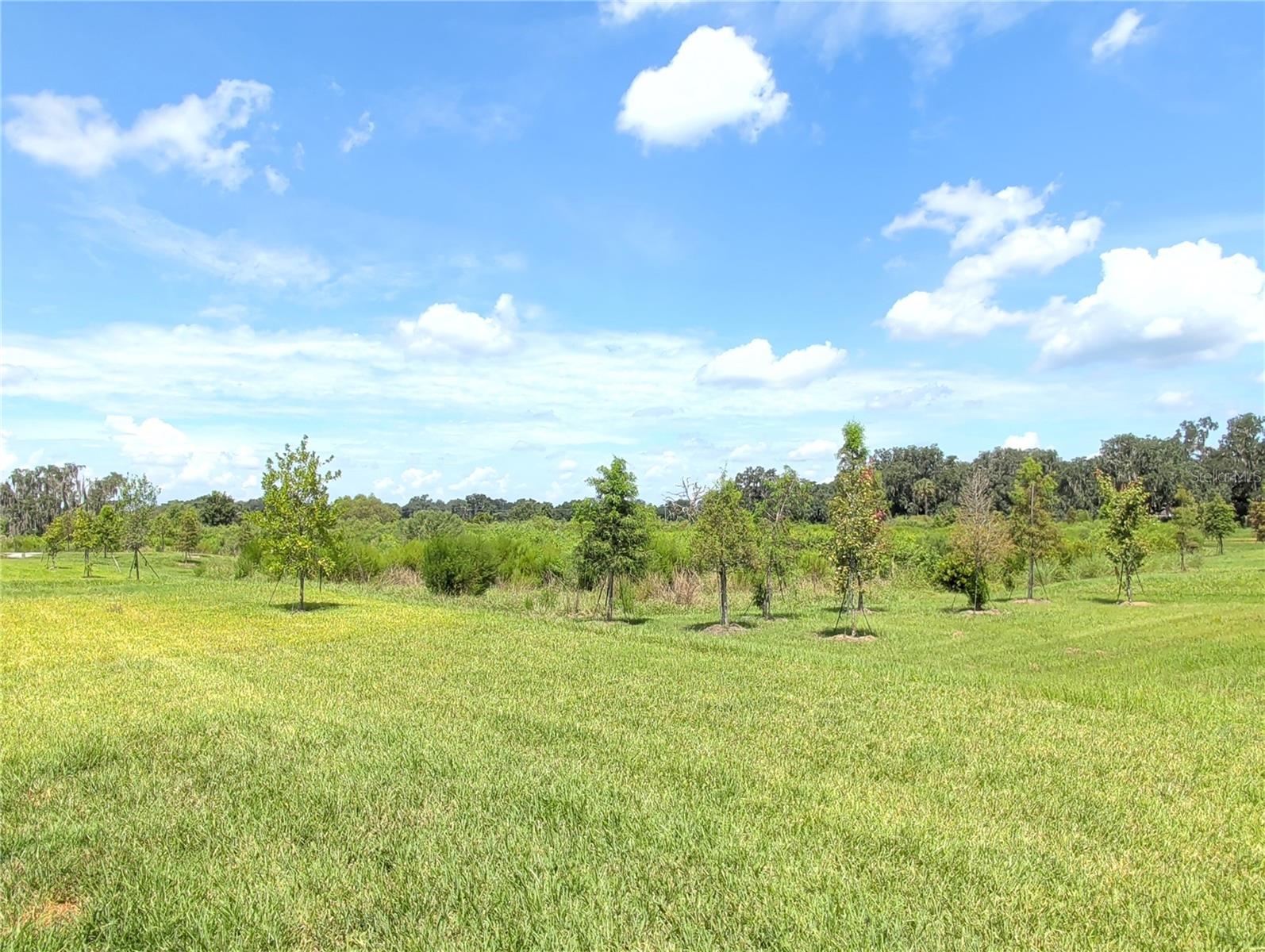 4057 WESTWOOD FIELDS LOOP — photo 23