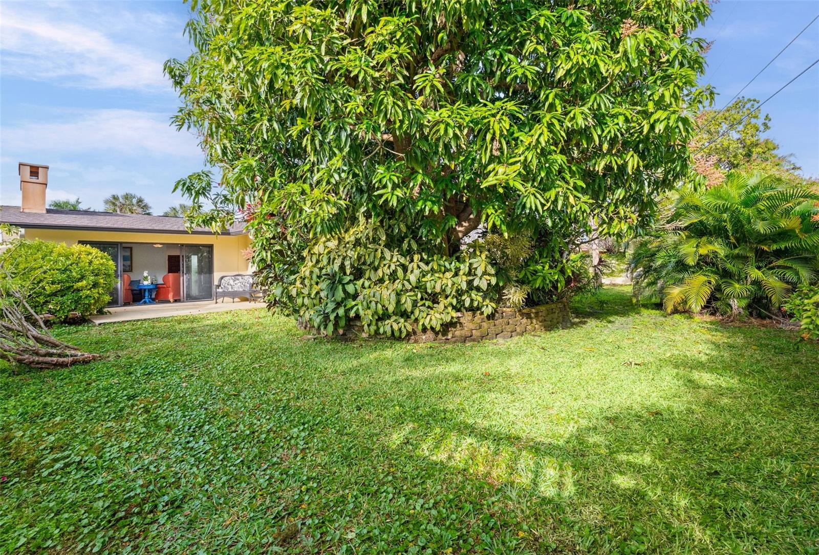 7215 WESTMORELAND DR — photo 29