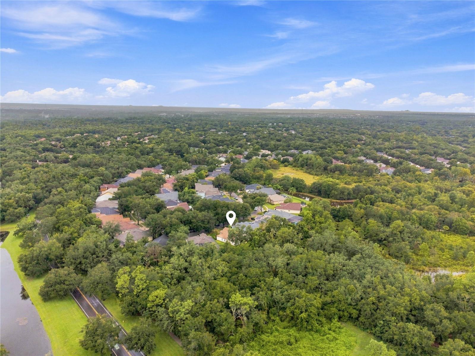 6137 WHIMBRELWOOD DR — photo 39