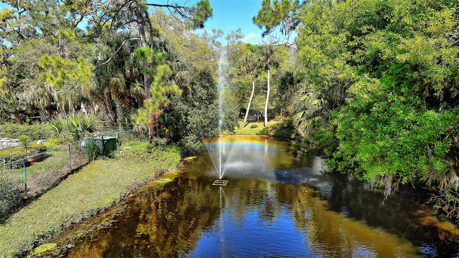 3262 CROSS CREEK DR #3262 — photo 50