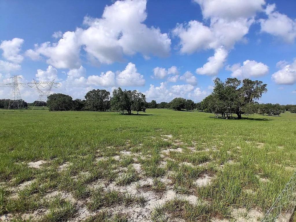 15750 LARRY RD — photo 3