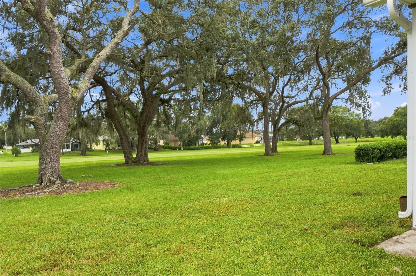 13540 KNOTTY LN — photo 32