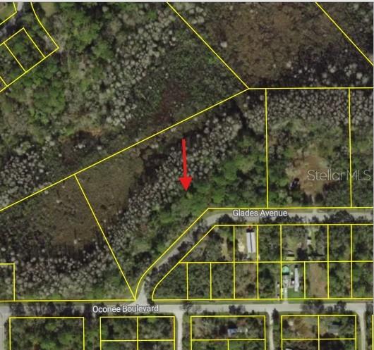 0 0 GLADES AVE — photo 3