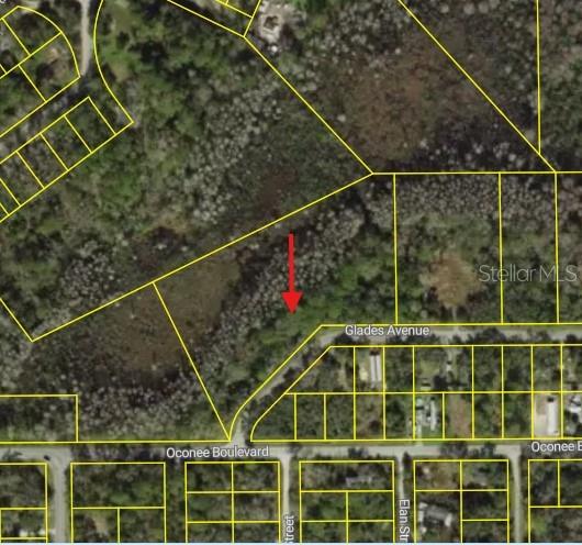 0 0 GLADES AVE — photo 4