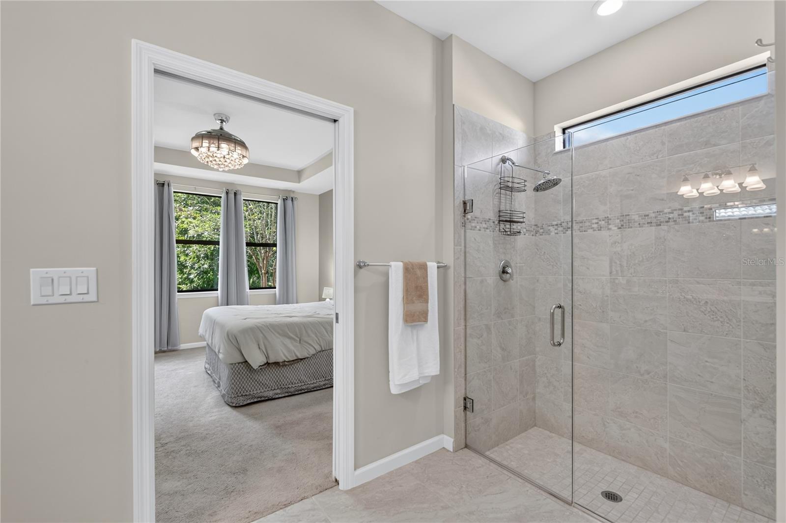 2539 BRASSICA DR — photo 35