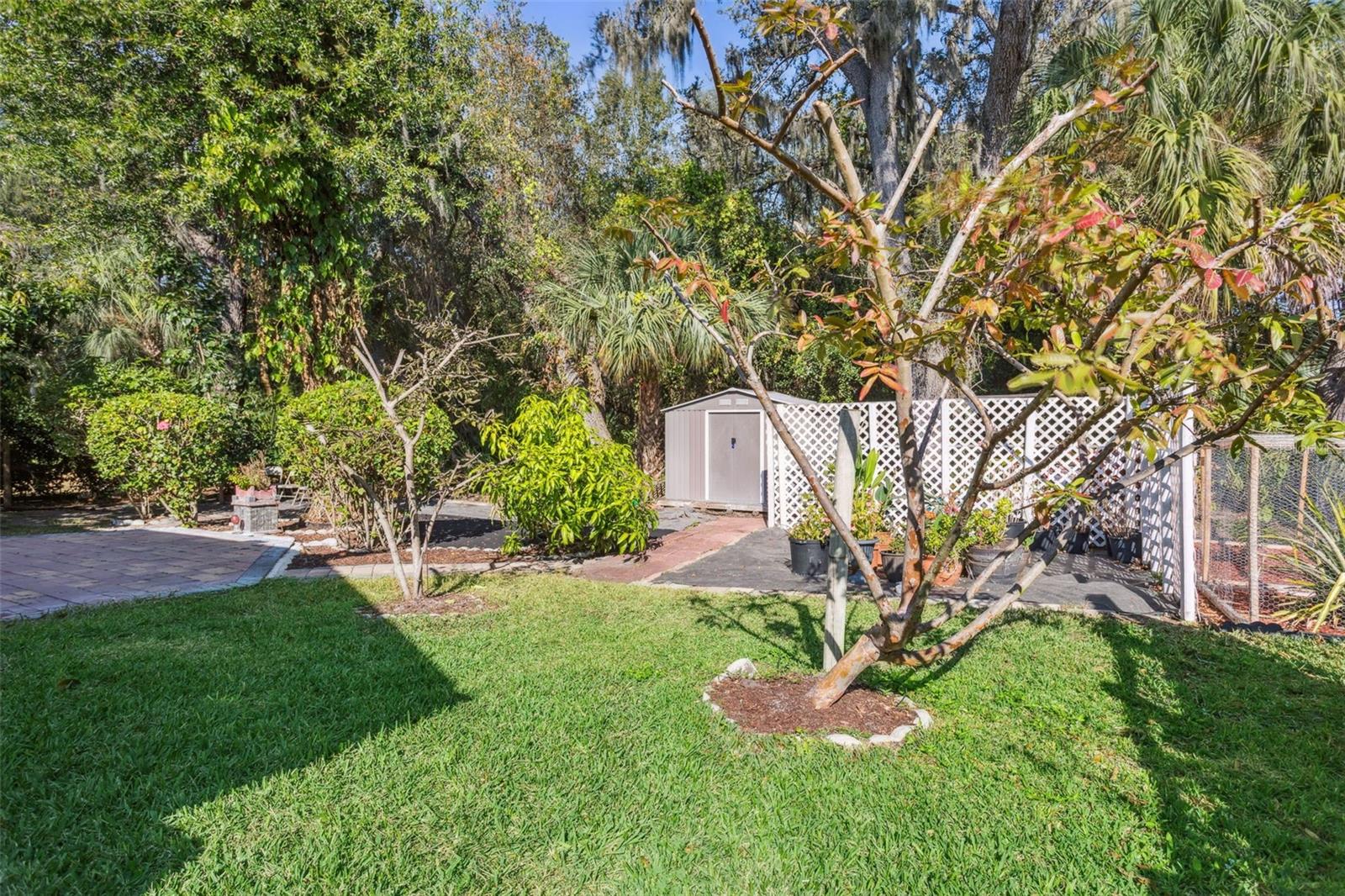 10112 CARAWAY SPICE AVE — photo 24