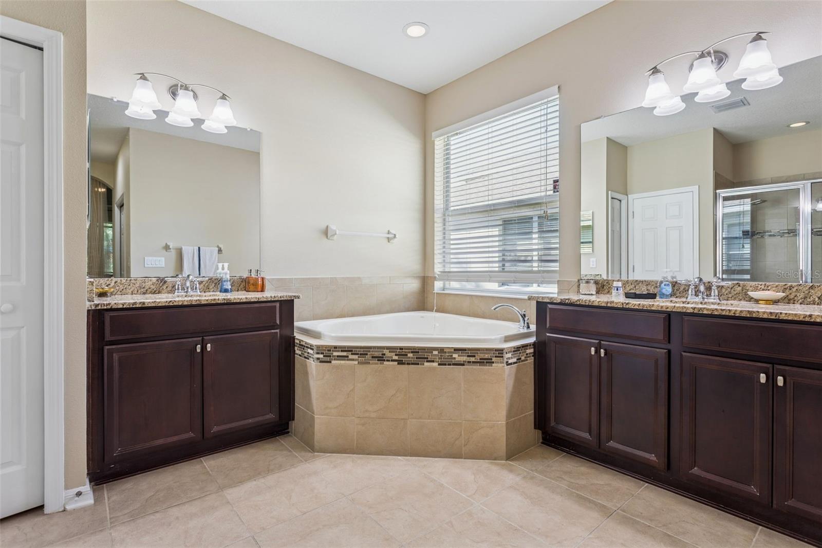 10112 CARAWAY SPICE AVE — photo 19