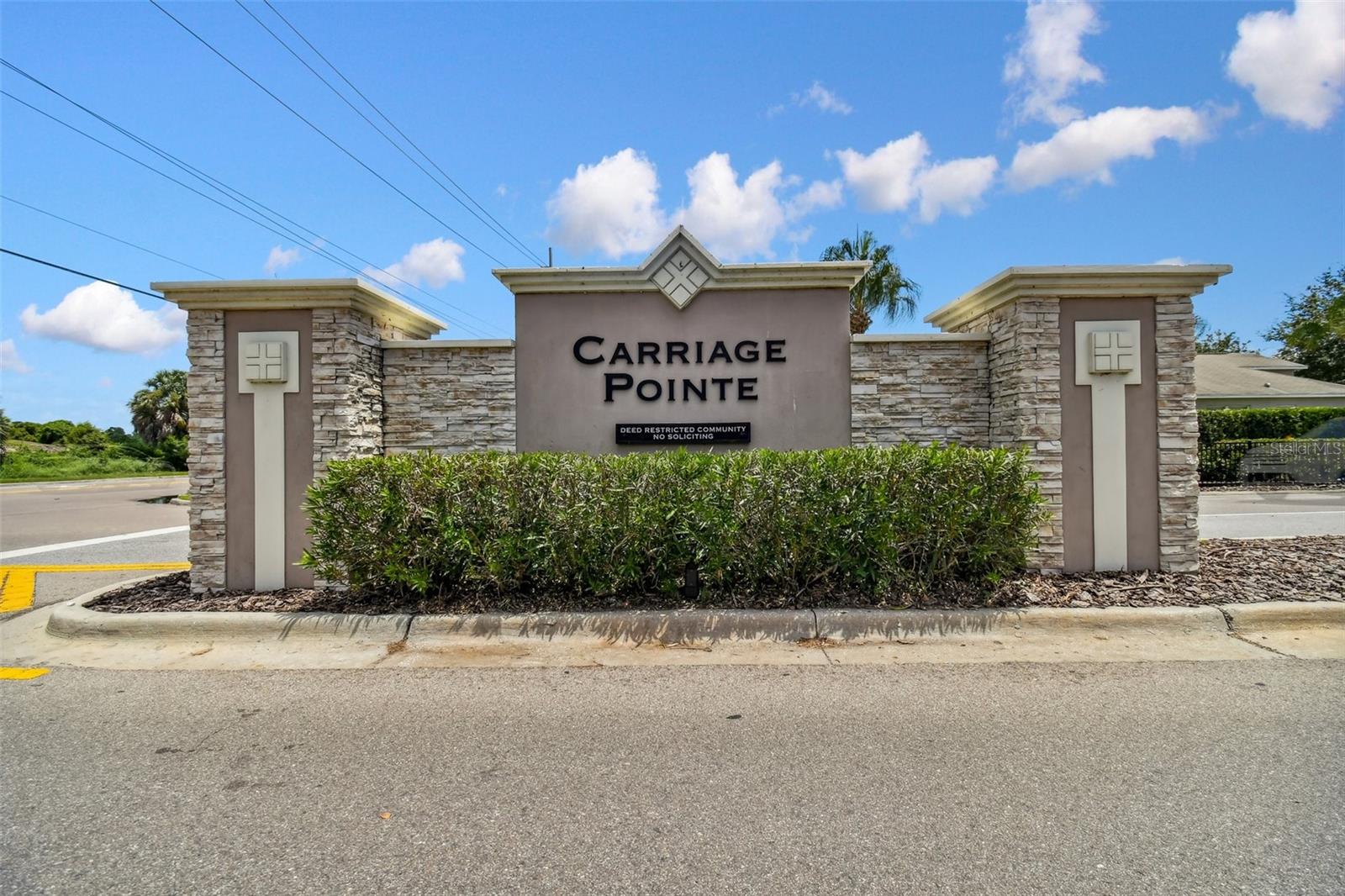 7956 CARRIAGE POINTE DR — photo 42
