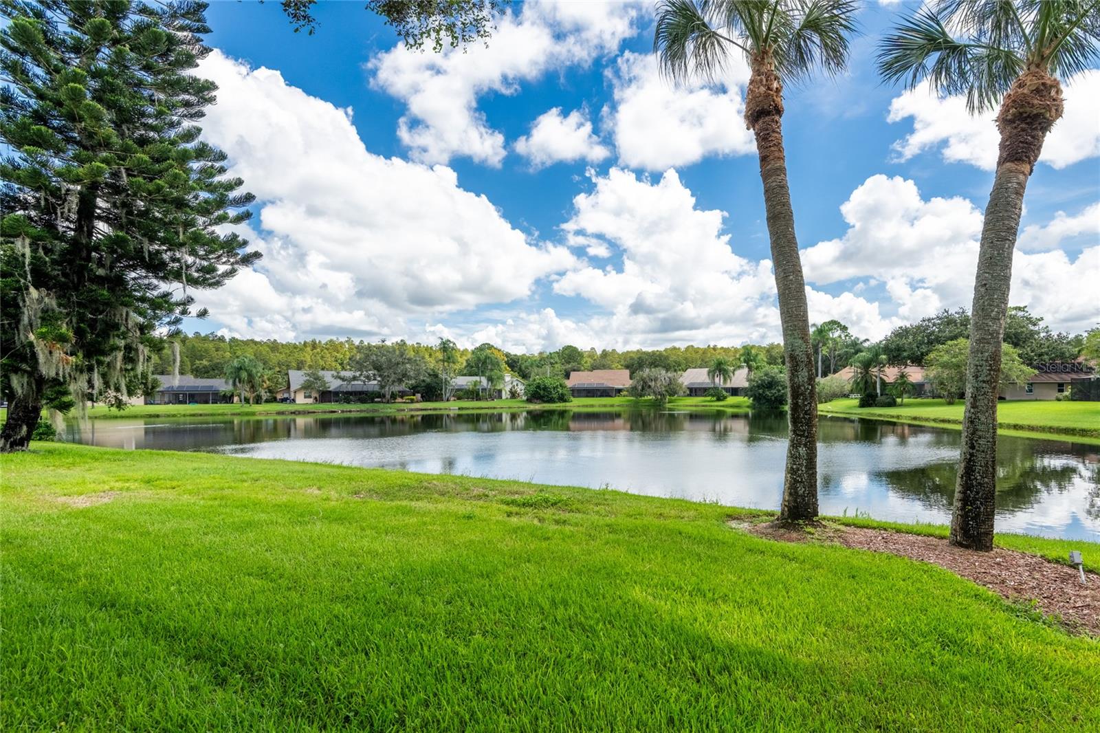 17509 TALLY HO CT — photo 5