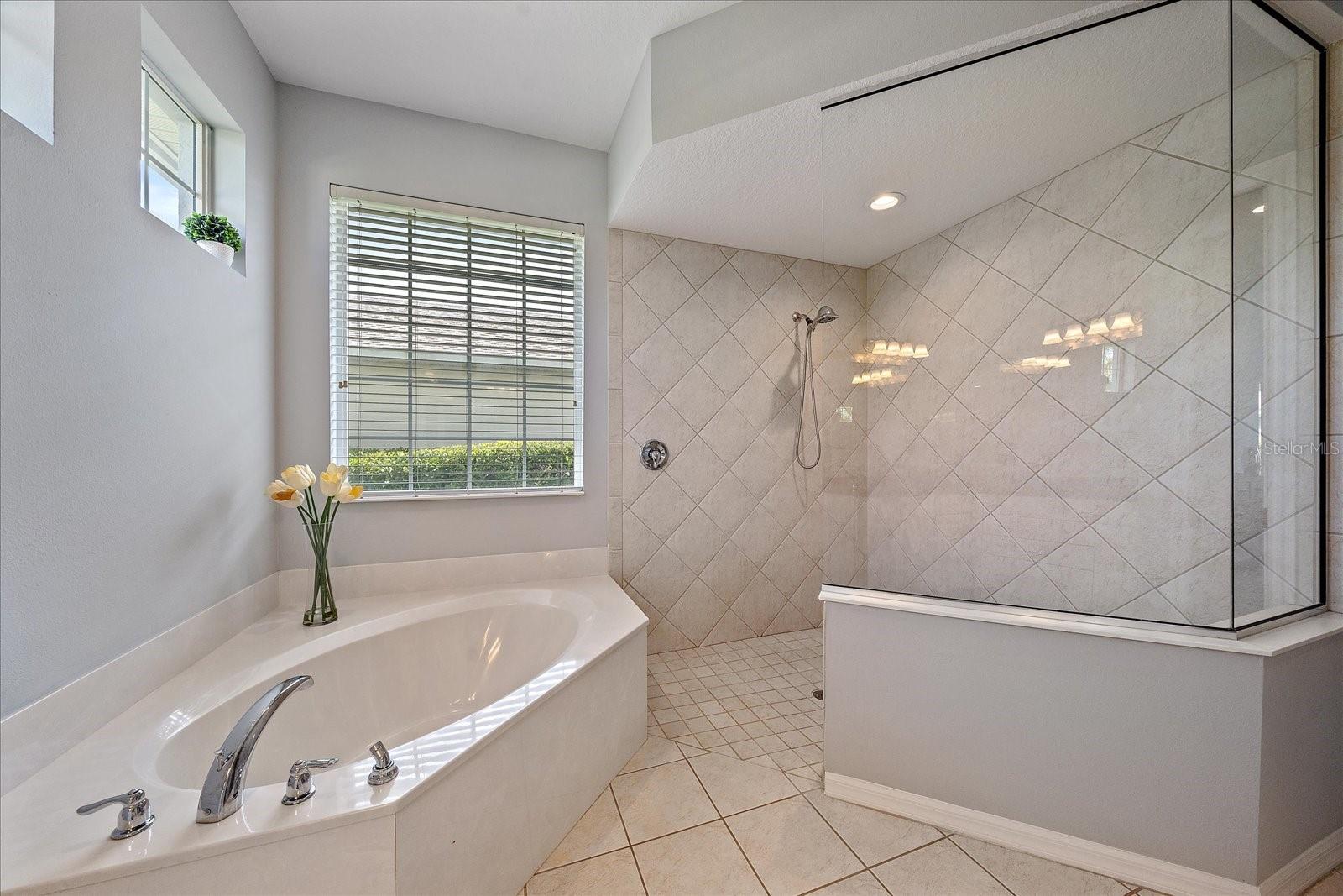 8015 SPRING MARSH DR — photo 45