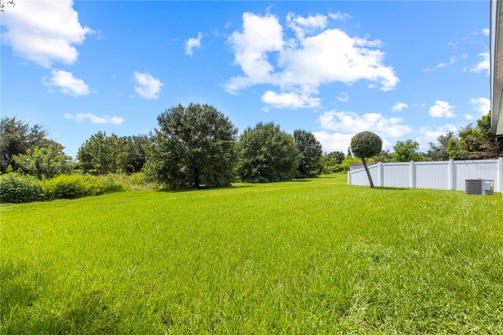 10527 PARK MEADOWBROOKE DR — photo 46