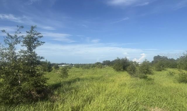 WALTER HUNTER RD #Lot 1 — photo 5