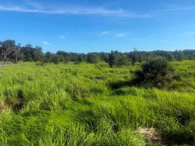 WALTER HUNTER RD #Lot 1 — photo 7