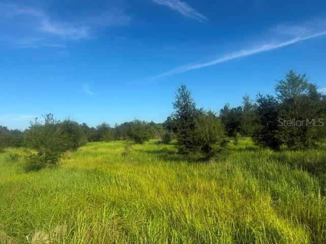 WALTER HUNTER RD #Lot 1 — photo 4