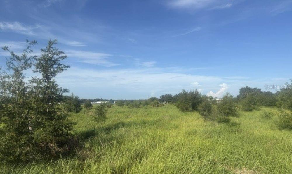 WALTER HUNTER RD #Lot 1 — photo 6
