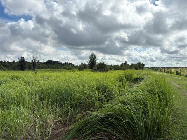WALTER HUNTER RD #Lot 1 — photo 3