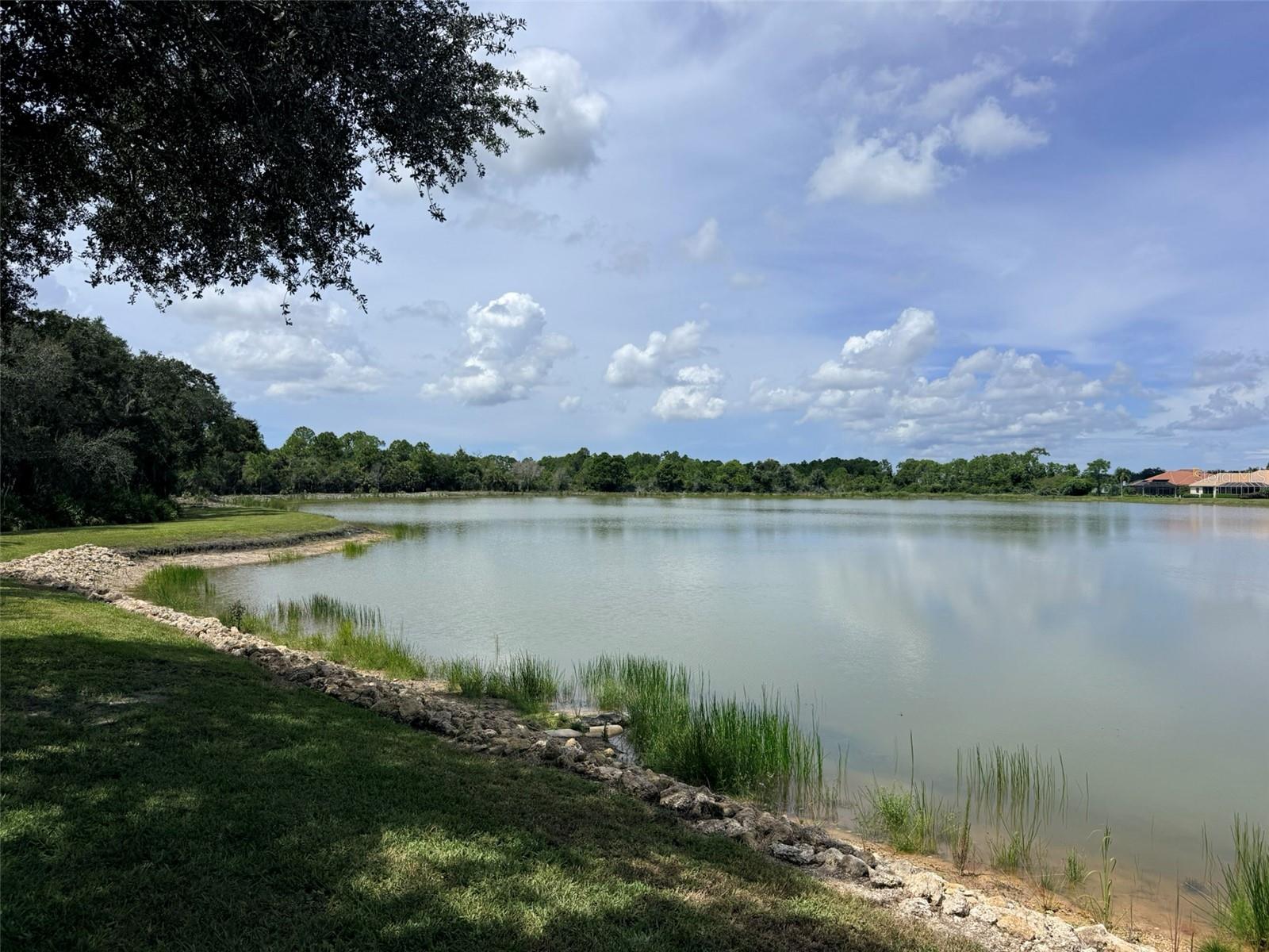 7702 LAKE VISTA CT #303 — photo 48