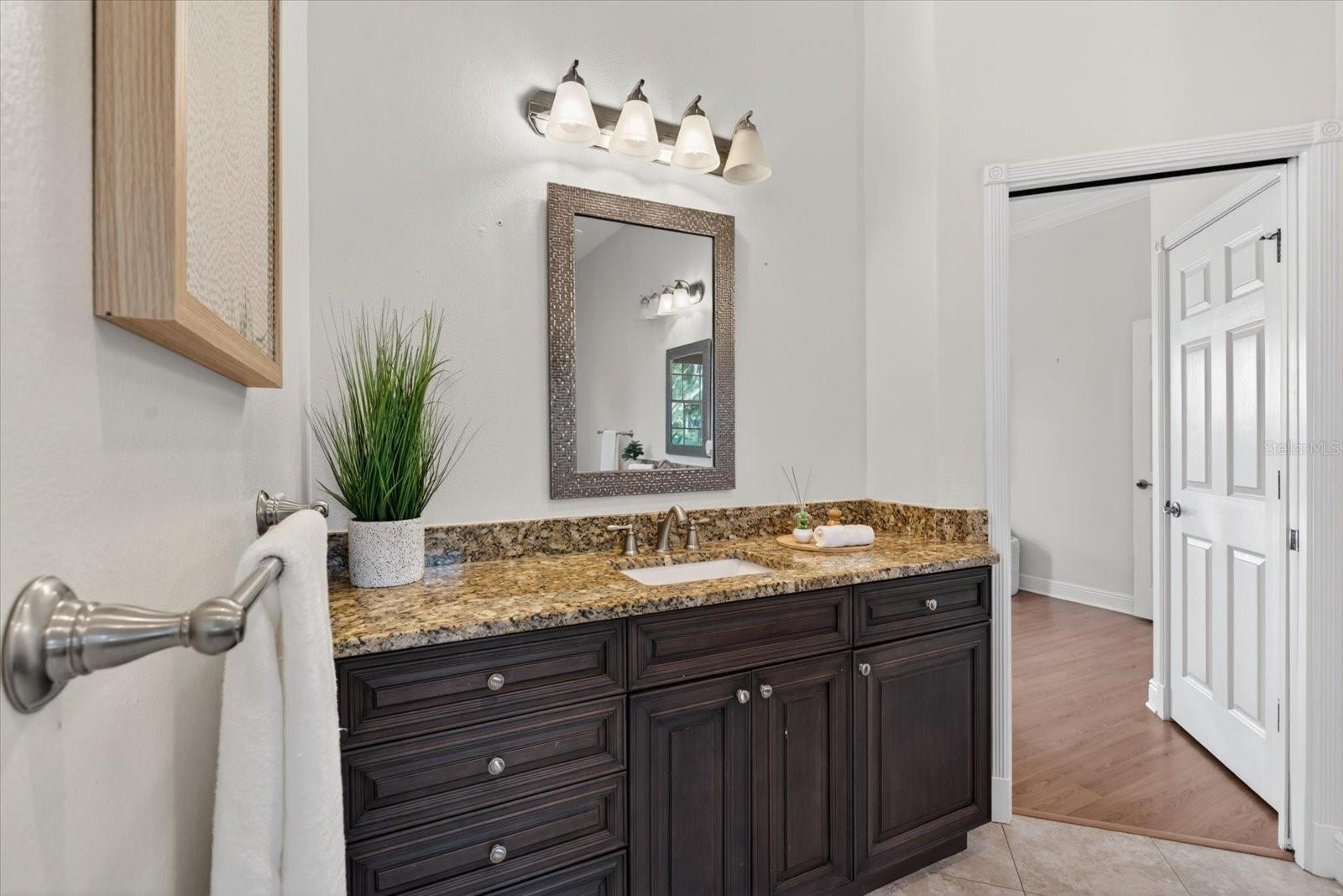 7389 S SERENOA DR — photo 15